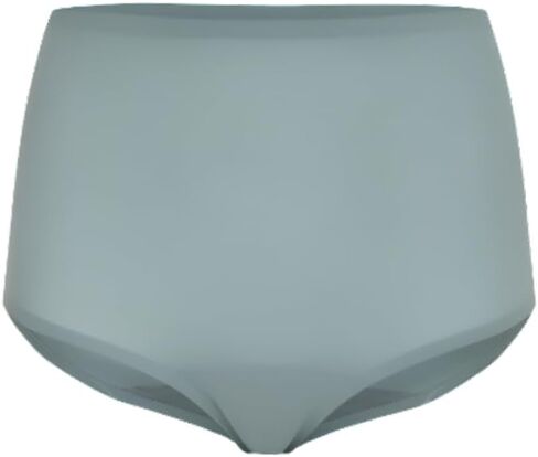 Gemsli Women's 4-Way Stretch Brief, Seamless Nylon Spandex Underwear, Soft Breathable Flexible Fit Everyday Brief in Saudi Arabia