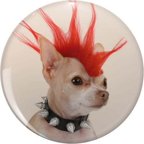 Punk Cihuahua Dog Round Metal 0.75" Lapel Pin Hat Shirt Tie Tack Pinback in Kuwait