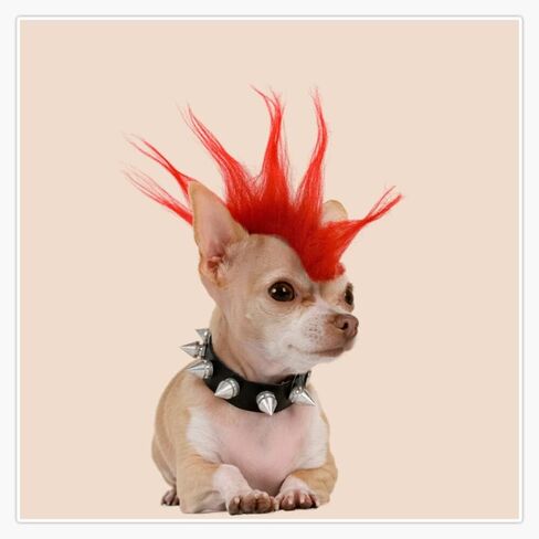 Punk Cihuahua Dog Round Metal 0.75" Lapel Pin Hat Shirt Tie Tack Pinback in Kuwait