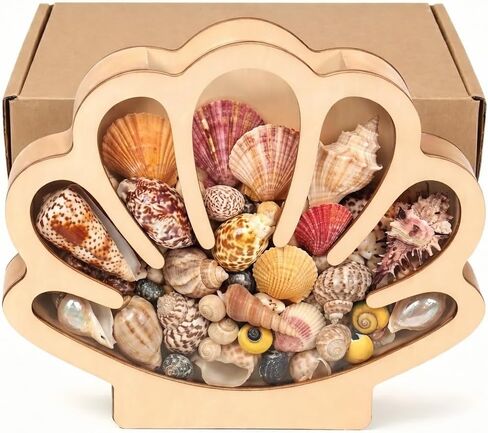 Seashell Display Case, Wooden Sea Shell Holder with Acrylic Panel Storage Box for Shark Tooth Sea Glass Starfish, Shells Collection Box Decorative Home Decor, Christmas Birthday Gift in Saudi Arabia