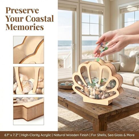 Seashell Display Case, Wooden Sea Shell Holder with Acrylic Panel Storage Box for Shark Tooth Sea Glass Starfish, Shells Collection Box Decorative Home Decor, Christmas Birthday Gift in Saudi Arabia