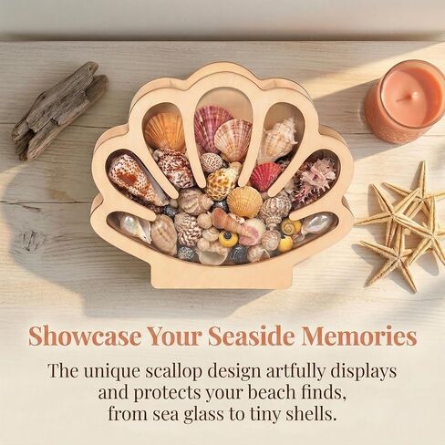 Seashell Display Case, Wooden Sea Shell Holder with Acrylic Panel Storage Box for Shark Tooth Sea Glass Starfish, Shells Collection Box Decorative Home Decor, Christmas Birthday Gift in Saudi Arabia