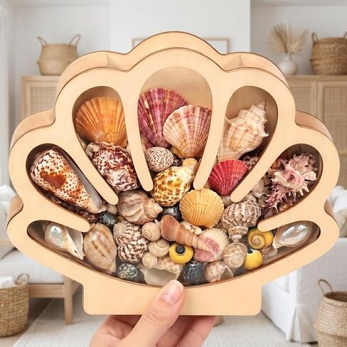 Seashell Display Case, Wooden Sea Shell Holder with Acrylic Panel Storage Box for Shark Tooth Sea Glass Starfish, Shells Collection Box Decorative Home Decor, Christmas Birthday Gift in Saudi Arabia