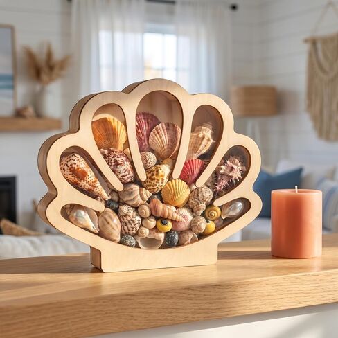 Seashell Display Case, Wooden Sea Shell Holder with Acrylic Panel Storage Box for Shark Tooth Sea Glass Starfish, Shells Collection Box Decorative Home Decor, Christmas Birthday Gift in Saudi Arabia
