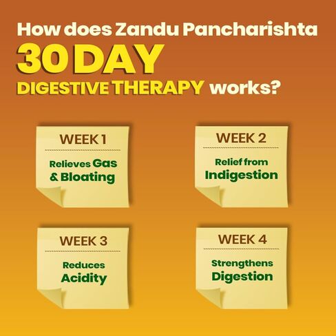 Zandu Pancharishta Sugar Free 650ml in Saudi Arabia