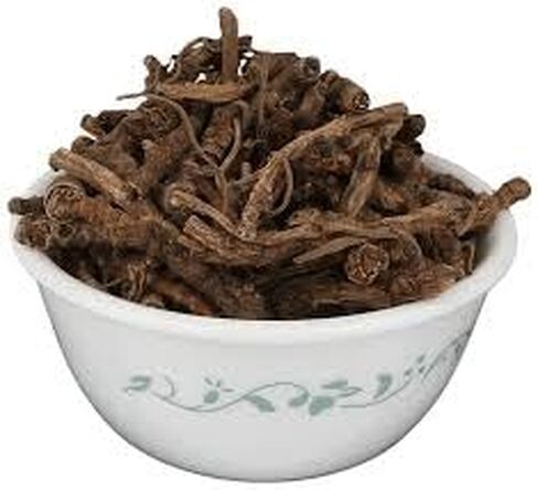 Aacure Jyotishmati Powder 3.5oz | 100gms in Saudi Arabia