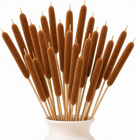 RAINFLOW Natural Dried Cattails – 13.8 Inch Cattail Dried Flowers,15 PCS Brown Bulrush Plants for DIY Floral Arrangements, Wedding Centerpieces, Fall Home Decor and Craft Supplies in Kuwait