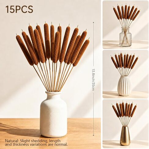 RAINFLOW Natural Dried Cattails – 13.8 Inch Cattail Dried Flowers,15 PCS Brown Bulrush Plants for DIY Floral Arrangements, Wedding Centerpieces, Fall Home Decor and Craft Supplies in Kuwait