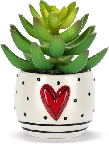 DEMDACO Heartful Home by Tracy Pesche Collection Mini Faux Succulent Red Hearts Black Dot 2 x 1.5 Stoneware Decorative Home Table Top Décor in Kuwait