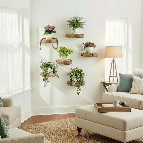 WELLAND Cedar Wood Showcase Display Shelves, Wood Floating Shelf, Set of 3, 6 x 6 x 1.6 inches - Rustic Wooden Floating Wall Shelves for Home Decor, Plants, Photos, and Collectibles in Kuwait