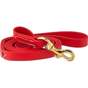J&J Dog Supplies Biothane Dog Leash, 1/2" Wide by 6' Long, Hunter Green