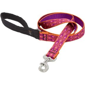 LupinePet Originals 3/4" Alpen Glow 6-Foot Padded Handle Leash for Medium and Larger Dogs