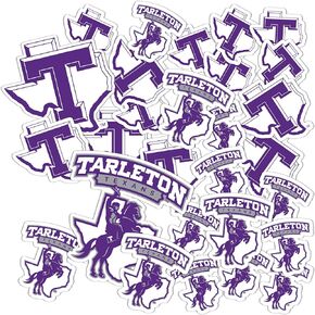Desert Cactus Tarleton State University TSU Texans Bleed Purple Stickers Vinyl Decals Laptop Water Bottle Car Scrapbook T1 (Type 1-1)