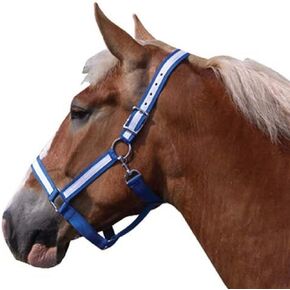 Intrepid International Draft Horse Nylon Halters with Overlay