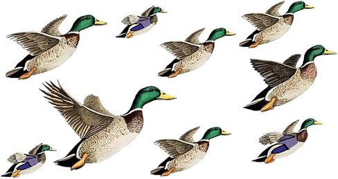 Decorative Flying Mallard Duck Wall Decals 9 Pieces, Waterproof Vinyl Suitable for car Body Rear Windshield Walls Doors and Windows Bumpers and Decoration in Children's Rooms 3A-66 in Saudi Arabia