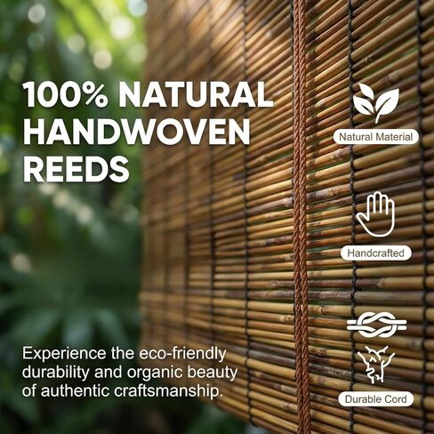 Glimer Reed Roll Up Blinds for Windows, Natural Reed Bamboo Shades for Indoor & Outdoor Use, Light Filtering Privacy Window Covering for Patio, Porch, Balcony in Saudi Arabia