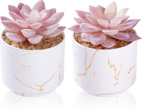 ZENIDA Artificial Plants and Succulents in 2 White Ceramic Pots,Small Fake Plants for Office and Desk Decor,Bathroom, Bedroom,Shelves for Women in Saudi Arabia