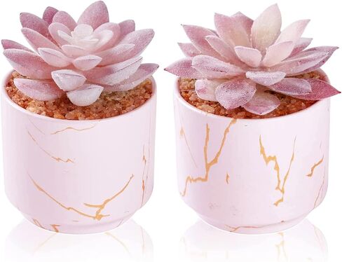 ZENIDA Artificial Plants and Succulents in 2 White Ceramic Pots,Small Fake Plants for Office and Desk Decor,Bathroom, Bedroom,Shelves for Women in Kuwait
