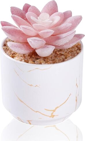 ZENIDA Artificial Plants and Succulents in 2 White Ceramic Pots,Small Fake Plants for Office and Desk Decor,Bathroom, Bedroom,Shelves for Women in Kuwait