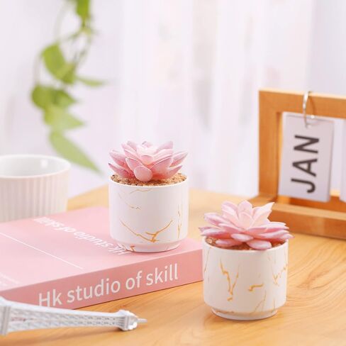 ZENIDA Artificial Plants and Succulents in 2 White Ceramic Pots,Small Fake Plants for Office and Desk Decor,Bathroom, Bedroom,Shelves for Women in Kuwait