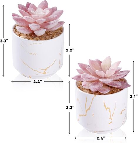 ZENIDA Artificial Plants and Succulents in 2 White Ceramic Pots,Small Fake Plants for Office and Desk Decor,Bathroom, Bedroom,Shelves for Women in Kuwait