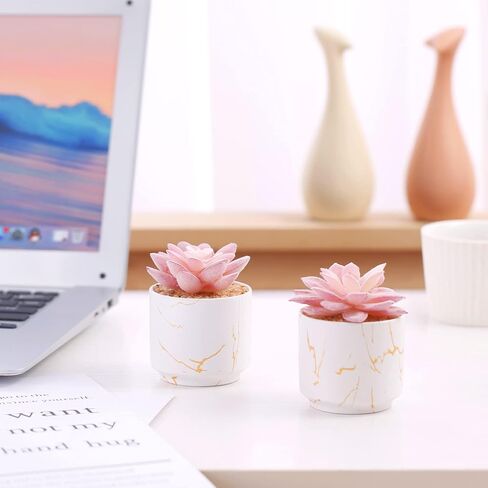 ZENIDA Artificial Plants and Succulents in 2 White Ceramic Pots,Small Fake Plants for Office and Desk Decor,Bathroom, Bedroom,Shelves for Women in Kuwait