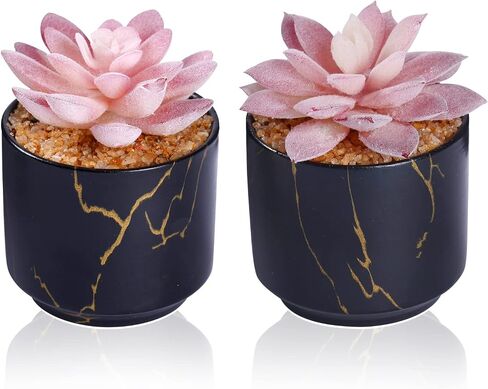 ZENIDA Artificial Plants and Succulents in 2 White Ceramic Pots,Small Fake Plants for Office and Desk Decor,Bathroom, Bedroom,Shelves for Women in Kuwait