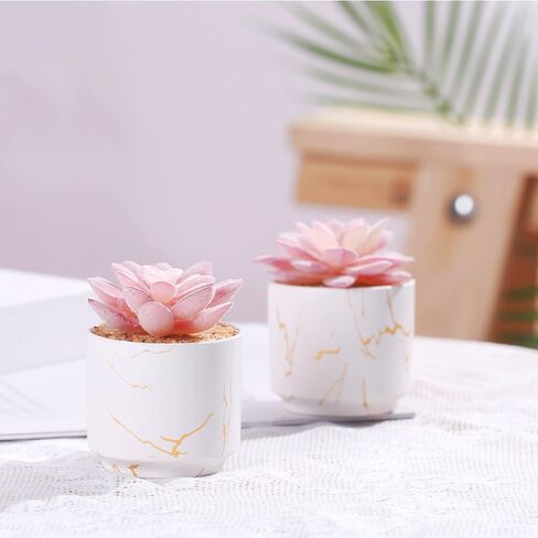 ZENIDA Artificial Plants and Succulents in 2 White Ceramic Pots,Small Fake Plants for Office and Desk Decor,Bathroom, Bedroom,Shelves for Women in Kuwait