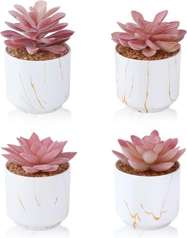 ZENIDA Artificial Plants and Succulents in 2 White Ceramic Pots,Small Fake Plants for Office and Desk Decor,Bathroom, Bedroom,Shelves for Women in Kuwait