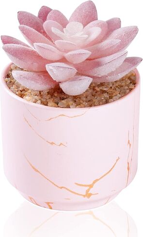 ZENIDA Artificial Plants and Succulents in 2 White Ceramic Pots,Small Fake Plants for Office and Desk Decor,Bathroom, Bedroom,Shelves for Women in Kuwait