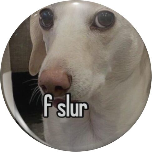 homophobic dog: F Slur Round Metal 0.75" Lapel Pin Hat Shirt Tie Tack Pinback in Saudi Arabia