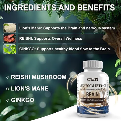 Cognitive Support, Mushroom Herbal Supplement with Lion's Mane, Reishi & Ginkgo - Plant-Based Energy and Clarity, 60 Vegan Capsules in Saudi Arabia