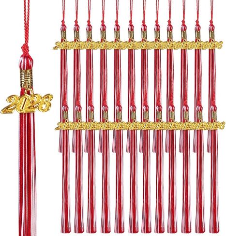 24 Pack 2026 Graduation Tassels with Gold Charm – Bulk Cap Tassels for Graduation Ceremony, Keepsake & Decor (Pink) in Saudi Arabia