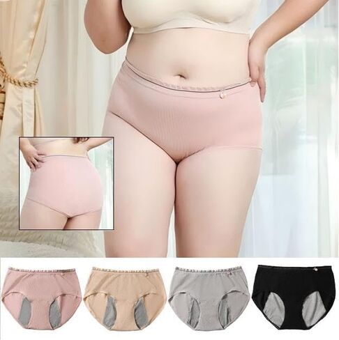 4 Pack Women’s Seamless Hipster Underwear Mid Rise Panties Ruffle Edge Briefs Soft Stretch Bikini Underwears in Kuwait