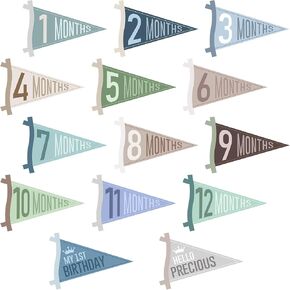 14 Pcs Baby Monthly Milestone Signs Pennant Flags, Hello World Newborn Announcement Sign, Felt Baby Months Signs Photoshoot Props for Boy Girl Newborn Birthday Party Nursery Decor in Saudi Arabia