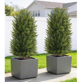 DREAMLOOM 3ft UV-Resistant Artificial Cedar Topiary Tree Faux Cypress Outdoor Fake Pine Plant Shrubs Bushes for Home Garden Porch Entryway, Set of 2 in Saudi Arabia