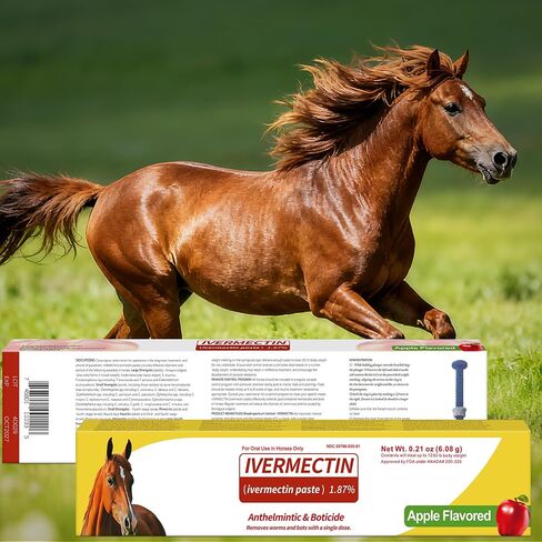 Horse Paste 1.87% – 4 Pack (6.08g Each) Apple Flavored Oral for Horses in Kuwait