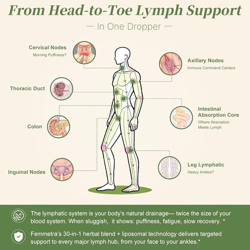Liposomal Lymphatic Drainage Drops with 30 Herbs, 2 Fl Oz | Supports fluid balance, bloating & puffy face, ideal for long sitting late-night watch parties, sugar free tart cherry flavor in Saudi Arabia
