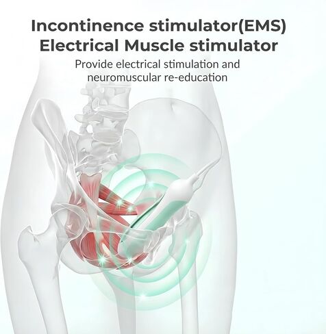 Incontinence Treatment Device, kegel Exerciser,Pelvic Floor Muscle Women in Saudi Arabia