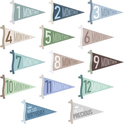 14 Pcs Baby Monthly Milestone Signs Pennant Flags, Hello World Newborn Announcement Sign, Felt Baby Months Signs Photoshoot Props for Boy Girl Newborn Birthday Party Nursery Decor in Saudi Arabia