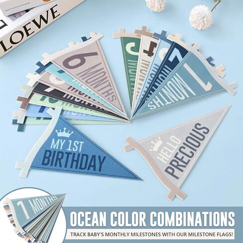 14 Pcs Baby Monthly Milestone Signs Pennant Flags, Hello World Newborn Announcement Sign, Felt Baby Months Signs Photoshoot Props for Boy Girl Newborn Birthday Party Nursery Decor in Saudi Arabia
