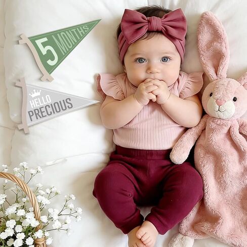 14 Pcs Baby Monthly Milestone Signs Pennant Flags, Hello World Newborn Announcement Sign, Felt Baby Months Signs Photoshoot Props for Boy Girl Newborn Birthday Party Nursery Decor in Saudi Arabia