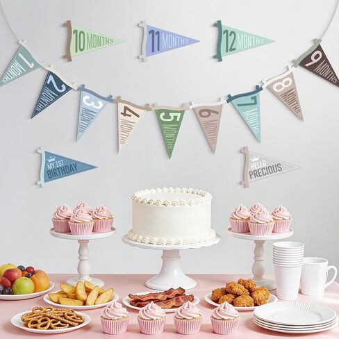 14 Pcs Baby Monthly Milestone Signs Pennant Flags, Hello World Newborn Announcement Sign, Felt Baby Months Signs Photoshoot Props for Boy Girl Newborn Birthday Party Nursery Decor in Saudi Arabia