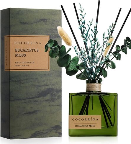 COCORRÍNA Reed Diffuser, 6.76 oz Eucalyptus Moss Scent Reed Diffuser with 6 Sticks & Dried Flowers, Long Lasting Elegant Fragrance Home Décor for Bathroom Bedroom Office in Saudi Arabia