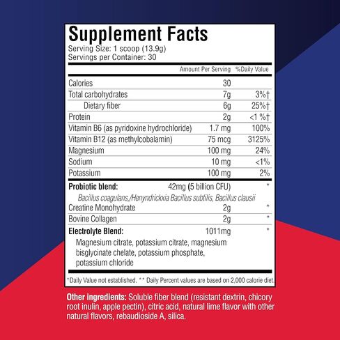 DietWorks GLP-1 Booster – Daily Companion Drink Mix with 6g Prebiotic Fiber, Probiotics, Collagen & Creatine – Supports Gut Health, Hydration, Energy & Wellness – Lemon Lime Flavor, 30 Servings in Saudi Arabia