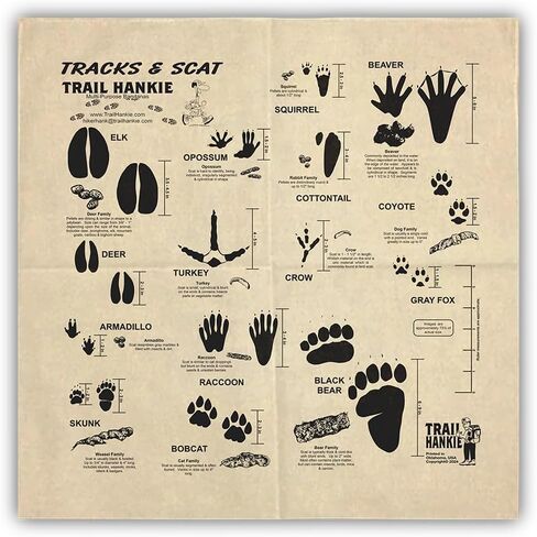 3-Pack Trail Adventure Bandanas in Saudi Arabia