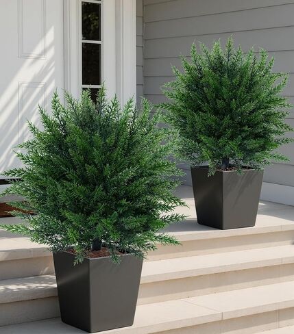 DREAMLOOM 3ft UV-Resistant Artificial Cedar Topiary Tree Faux Cypress Outdoor Fake Pine Plant Shrubs Bushes for Home Garden Porch Entryway, Set of 2 in Saudi Arabia