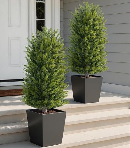 DREAMLOOM 3ft UV-Resistant Artificial Cedar Topiary Tree Faux Cypress Outdoor Fake Pine Plant Shrubs Bushes for Home Garden Porch Entryway, Set of 2 in Saudi Arabia