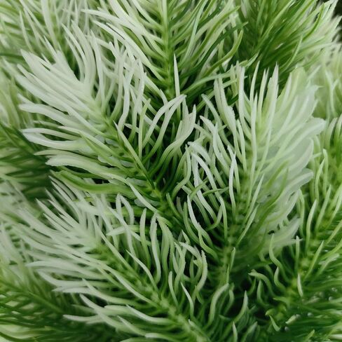 ATFL 4 Pack Artificial Norfolk Pine Trees with Ground Spike, 14''Small Fake Pine Tree Decor, Artificial Outdoor Shrubs for Garden Yard Front Door Porch Patio Planter Decor (4, 14 inches) in Saudi Arabia