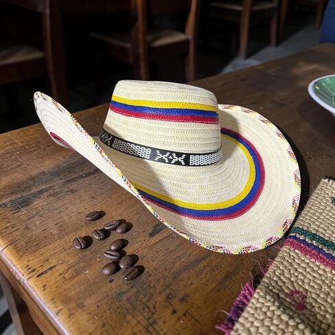vivianfongdesigns llc Colombian Vueltiao Hat for Adults - Polyester Beige in Saudi Arabia